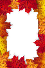 Autumn leaves frame on a white background