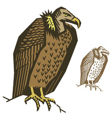 Vulture Bird Vector