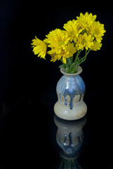 Yellow Daises in a vase