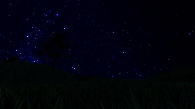 Tree Silhouette on Meadow and Starry Sky, Time Lapse, cam fly