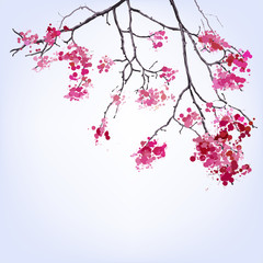 Spring Blooming Sakura branch of blots background