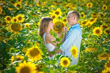loving young couple in a field of sunflowers