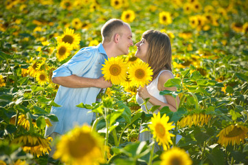 loving young couple in a field of sunflowers