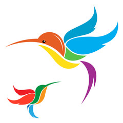 Vector image of an hummingbird on white background