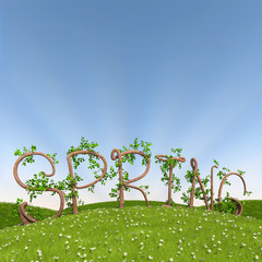 3d render of the word spring written in letters made of trees