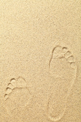 Sand Background