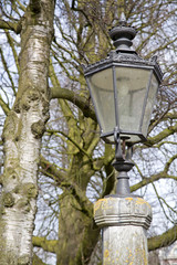 Fototapeta na wymiar Lamp in Den Haag, Netherlands