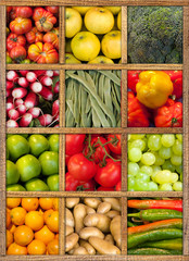 Healthy food collection