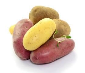 Biokartoffeln