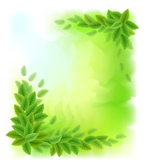 Sunny background with green leaves