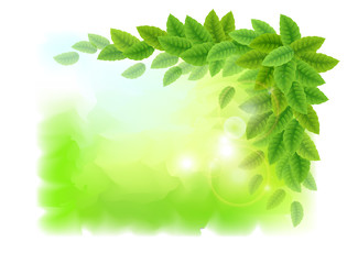 Sunny background with green leaves