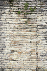 Ruined brick wall