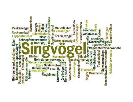 Singv&ouml;gel