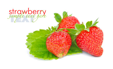 Strawberries with leaves on a white background