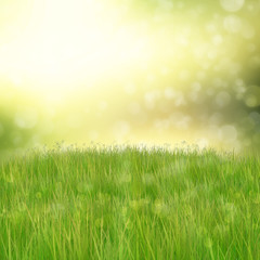 Fototapeta na wymiar Green grass on abstract background