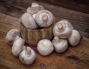 Грибы здоровая пища.Вегетарианство