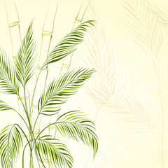 Palm tree over bamboo forest