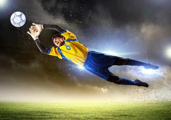 Washable wall murals Football Goalkeeper catches the ball