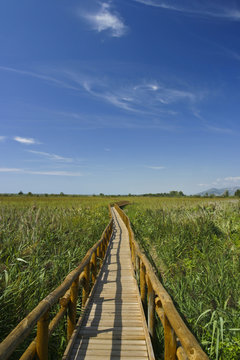 Oasi LIPU massaciuccoli