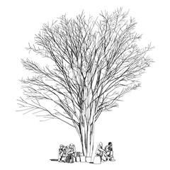Large bare tree without leaves and people Hand drawn