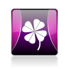 four-leaf clover violet square web glossy icon