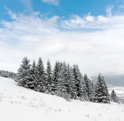 Fototapeta na wymiar scena zima w górach