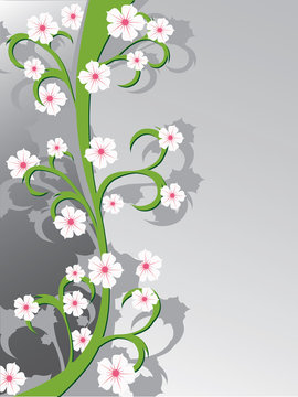 Floral background with flowers.