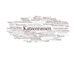 Katzenrassen