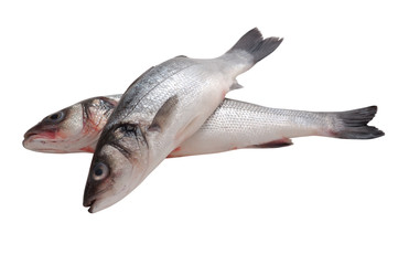 raw seabass