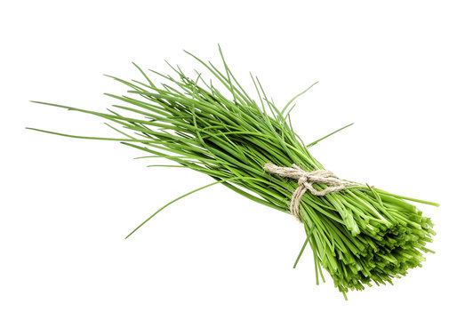 a bunch of fresh chives on white background