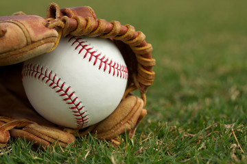 Baseball in a Glove