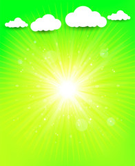 Obraz premium fresh green sunburst background