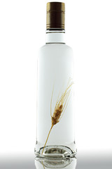 Fototapeta premium vodka