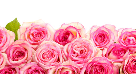 beautiful bouquet of pink roses isolated on white
