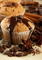 tasty muffin cakes with chocolate, spices and coffee seeds,