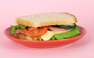 Sandwich on plate on pink background