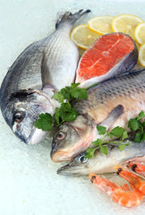 Fresh seafood on ice