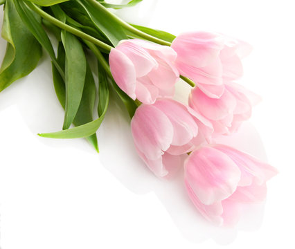 Beautiful Bouquet Of Pink Tulips, Isolated On White