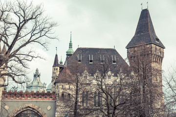 Fototapeta premium Vajdahunyad Castle in Budapest