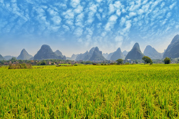 landscape in Yangshuo Guilin, China