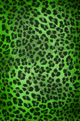 Wild animal skin pattern
