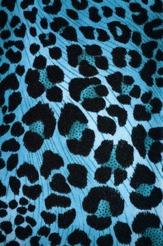 Blue cheetah pattern