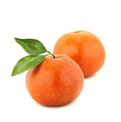 fresh mandarin
