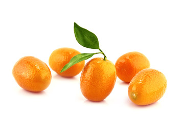 Small Orange Fruit