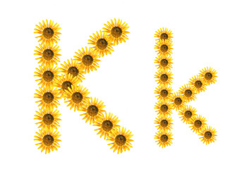 Obraz premium Font flower