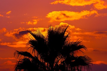 Obraz na płótnie Canvas Golden sunset at a mediterranean area
