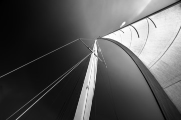 Sail of a sailing boat