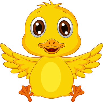 Cute baby duck cartoon