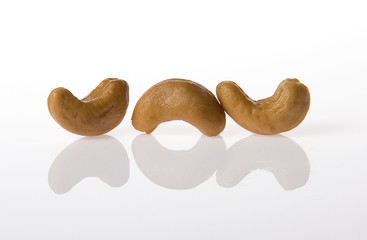 Cashew Seed  and Reflection