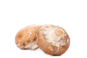 mushroom on white